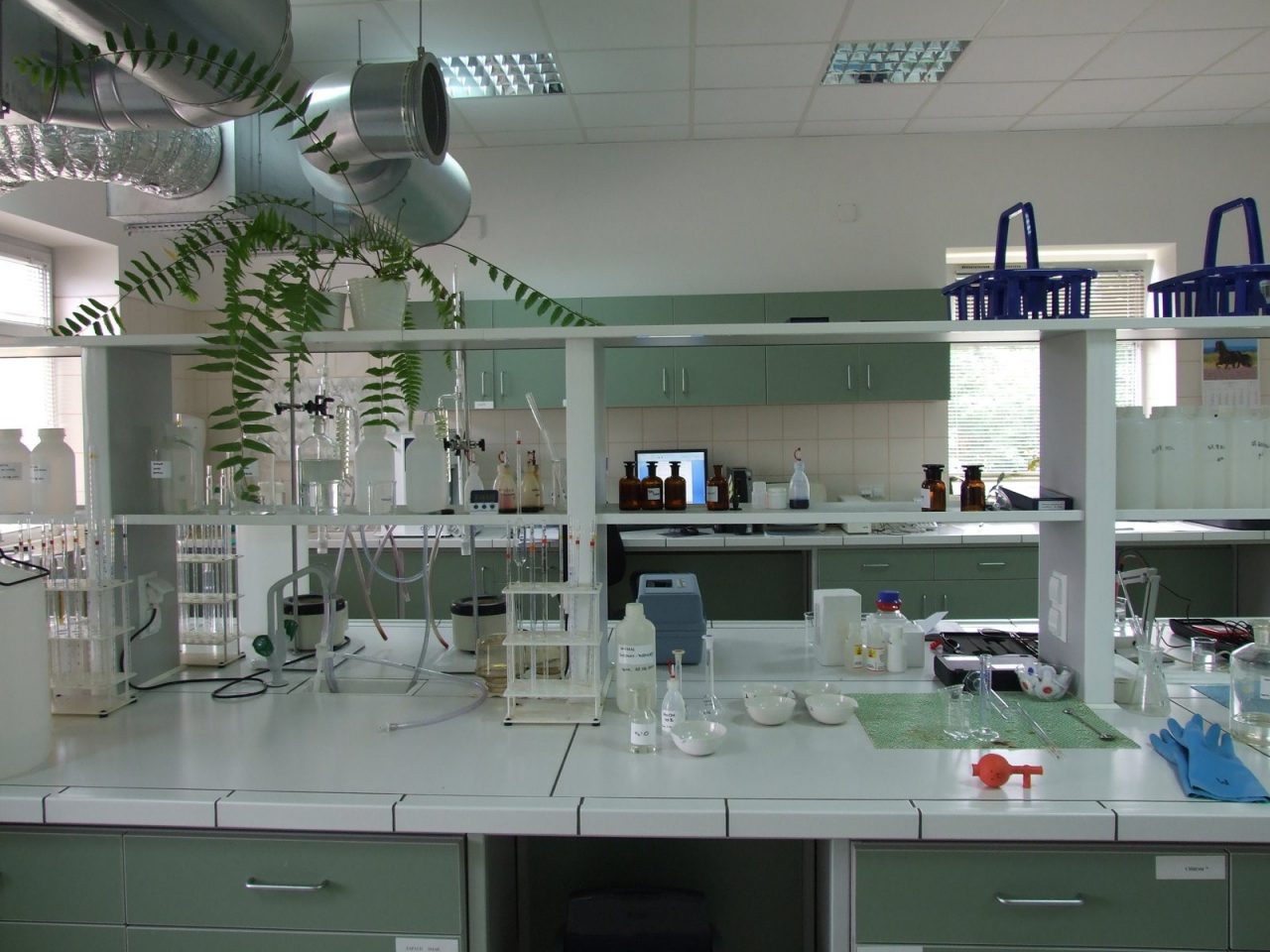 Laboratorium MZK